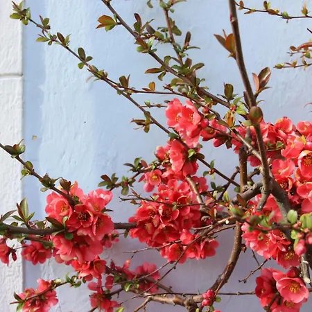 Wanderlust Boutique 3* Bad Goisern