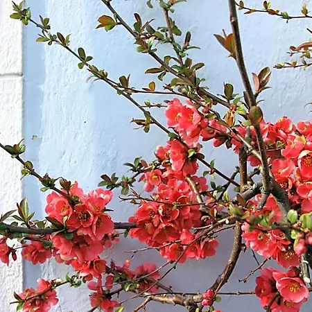 Wanderlust Boutique B&B 바드고이세른