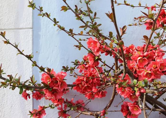 Wanderlust Boutique 3* 巴德哥依斯恩